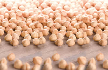 Fındık İçi: Sağlıklı Bir Yaşamın Anahtarı mı? Heles Fındık ile İlgili Gerçekler